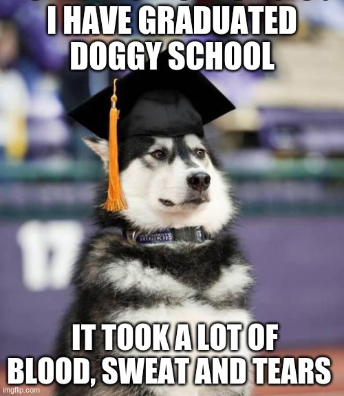 Graduate Dog |  I HAVE GRADUATED DOGGY SCHOOL; IT TOOK A LOT OF BLOOD, SWEAT AND TEARS | image tagged in graduate dog | made w/ Imgflip meme maker