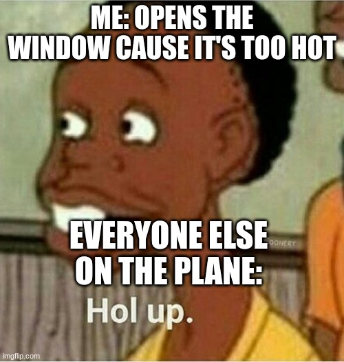 hol up | ME: OPENS THE WINDOW CAUSE IT'S TOO HOT; EVERYONE ELSE ON THE PLANE: | image tagged in hol up | made w/ Imgflip meme maker