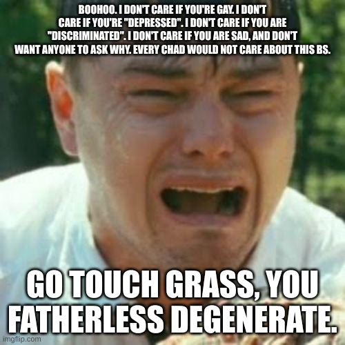 Crybaby Liberal Leonardo | BOOHOO. I DON'T CARE IF YOU'RE GAY. I DON'T CARE IF YOU'RE "DEPRESSED". I DON'T CARE IF YOU ARE "DISCRIMINATED". I DON'T CARE IF YOU ARE SAD, AND DON'T WANT ANYONE TO ASK WHY. EVERY CHAD WOULD NOT CARE ABOUT THIS BS. GO TOUCH GRASS, YOU FATHERLESS DEGENERATE. | image tagged in crybaby liberal leonardo | made w/ Imgflip meme maker