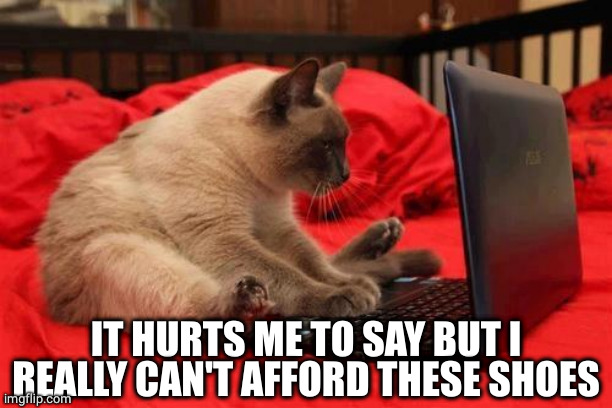 quit looking at cats online | IT HURTS ME TO SAY BUT I REALLY CAN'T AFFORD THESE SHOES | image tagged in quit looking at cats online | made w/ Imgflip meme maker