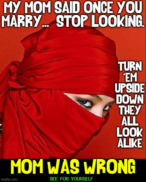 My Mother was rarely wrong... | MY MOM SAID ONCE YOU
MARRY...  STOP LOOKING. TURN
'EM
UPSIDE
DOWN
THEY
ALL
LOOK
ALIKE; MOM WAS WRONG; SEE  FOR  YOURSELF | image tagged in vince vance,red,ninja,girl,mothers,advice | made w/ Imgflip meme maker
