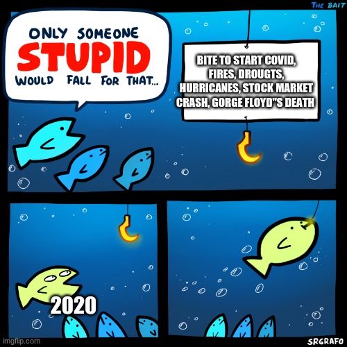 Only Someone Stupid SrGrafo | BITE TO START COVID, FIRES, DROUGTS, HURRICANES, STOCK MARKET CRASH, GORGE FLOYD"S DEATH; 2020 | image tagged in only someone stupid srgrafo | made w/ Imgflip meme maker