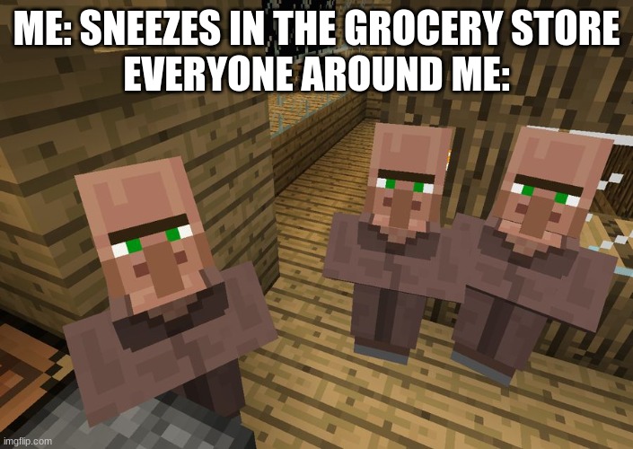 Minecraft Villagers | ME: SNEEZES IN THE GROCERY STORE
EVERYONE AROUND ME: | image tagged in minecraft villagers | made w/ Imgflip meme maker