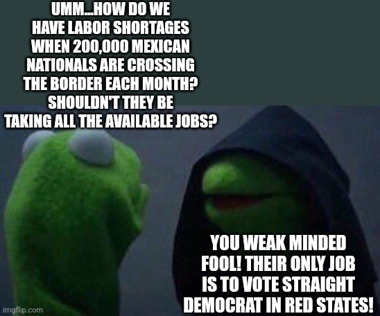 This would explain a lot. I am sure this isn't happening right? Hopefully? Anyone? | UMM...HOW DO WE HAVE LABOR SHORTAGES WHEN 200,000 MEXICAN NATIONALS ARE CROSSING THE BORDER EACH MONTH? SHOULDN'T THEY BE TAKING ALL THE AVAILABLE JOBS? YOU WEAK MINDED FOOL! THEIR ONLY JOB IS TO VOTE STRAIGHT DEMOCRAT IN RED STATES! | image tagged in kermit me to me,cheaters,democrats,illegal immigration,conspiracy theory | made w/ Imgflip meme maker