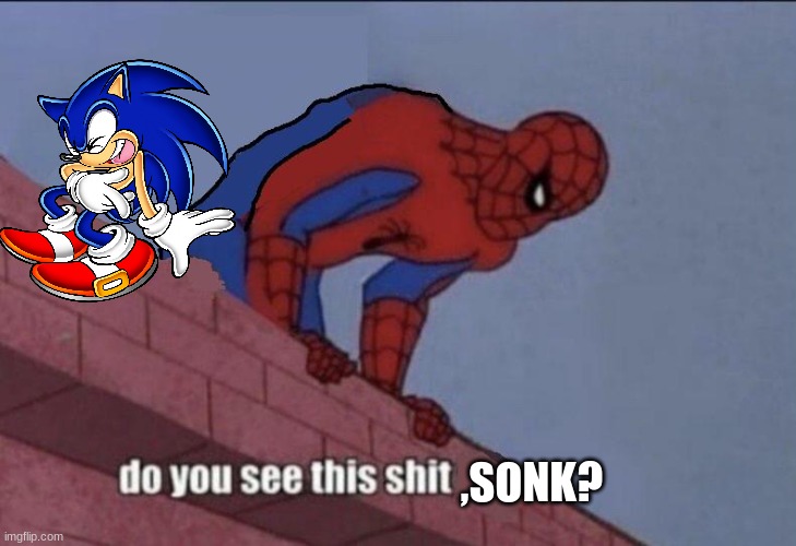 Spider-Man Do You See this | ,SONK? | image tagged in spider-man do you see this | made w/ Imgflip meme maker