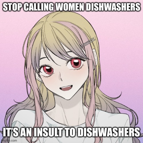 (Mod note: mods are still watching) (I am an owner) | STOP CALLING WOMEN DISHWASHERS; IT’S AN INSULT TO DISHWASHERS | image tagged in peachytroopa s new picrew | made w/ Imgflip meme maker