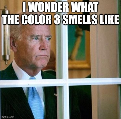 Sad Joe Biden | I WONDER WHAT THE COLOR 3 SMELLS LIKE | image tagged in sad joe biden | made w/ Imgflip meme maker