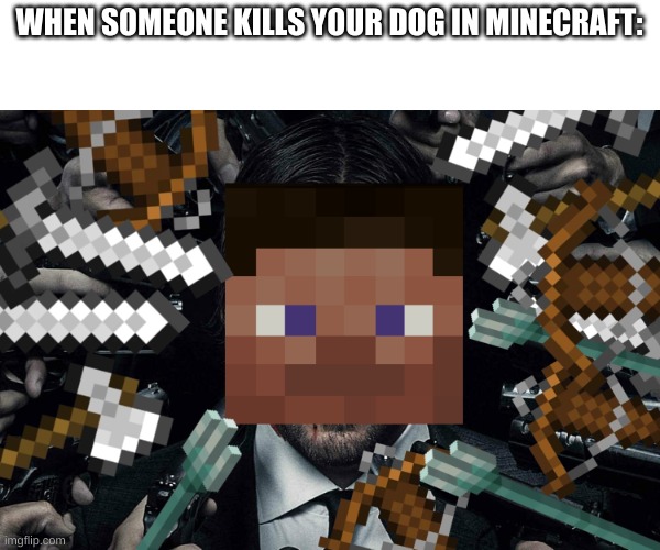 John Wick Minecraft meme | WHEN SOMEONE KILLS YOUR DOG IN MINECRAFT: | image tagged in john wick,minecraft,meme | made w/ Imgflip meme maker