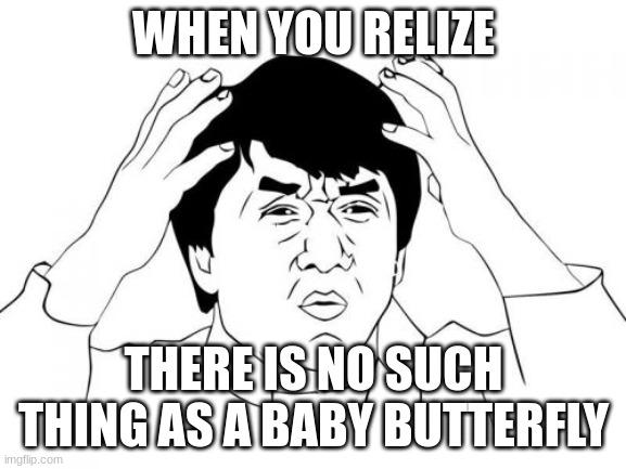 Jackie Chan WTF Meme | WHEN YOU RELIZE; THERE IS NO SUCH THING AS A BABY BUTTERFLY | image tagged in memes,jackie chan wtf | made w/ Imgflip meme maker