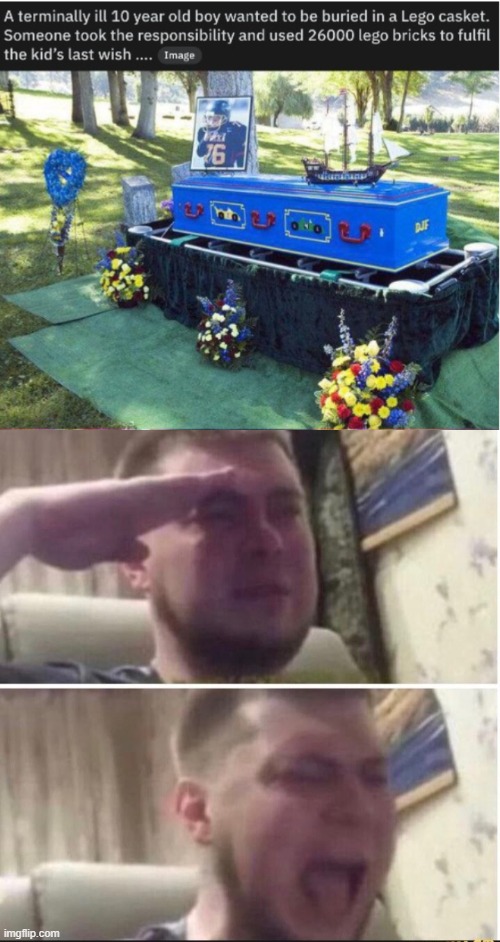 dppress | image tagged in crying salute | made w/ Imgflip meme maker