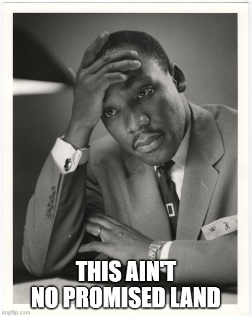 MLK FACEPALM | THIS AIN'T NO PROMISED LAND | image tagged in mlk facepalm | made w/ Imgflip meme maker