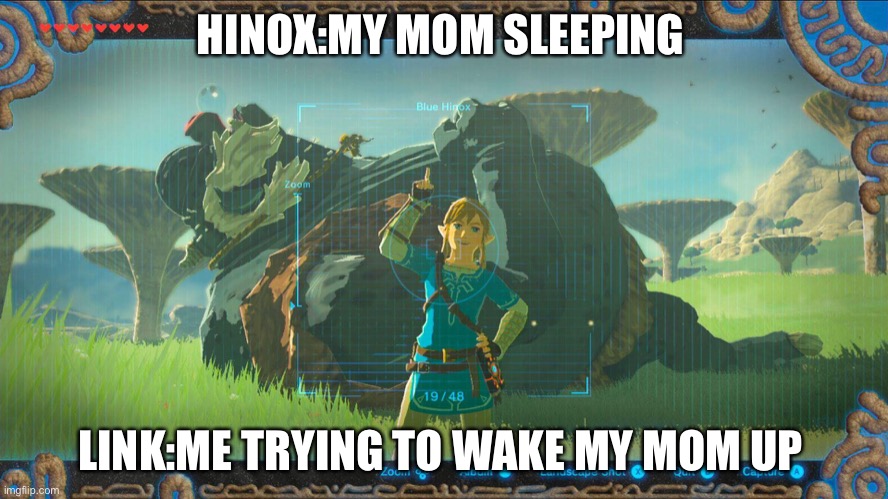 Botw | HINOX:MY MOM SLEEPING; LINK:ME TRYING TO WAKE MY MOM UP | image tagged in link botw | made w/ Imgflip meme maker