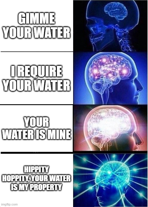 Expanding Brain | GIMME YOUR WATER; I REQUIRE YOUR WATER; YOUR WATER IS MINE; HIPPITY HOPPITY, YOUR WATER IS MY PROPERTY | image tagged in memes,expanding brain | made w/ Imgflip meme maker