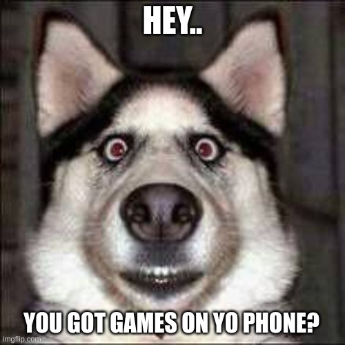 every little kid | HEY.. YOU GOT GAMES ON YO PHONE? | image tagged in doggo | made w/ Imgflip meme maker