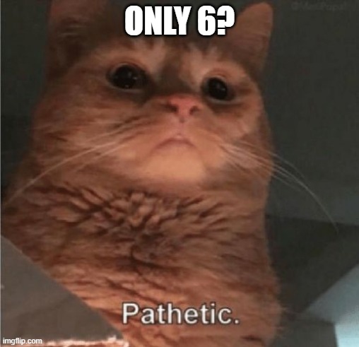 Pathetic Cat | ONLY 6? | image tagged in pathetic cat | made w/ Imgflip meme maker