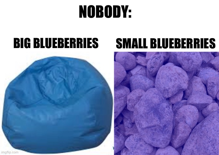Pay attention when shopping in the produce section | NOBODY:; SMALL BLUEBERRIES; BIG BLUEBERRIES | image tagged in blueberries,lol,small,big,nobody,ewww | made w/ Imgflip meme maker