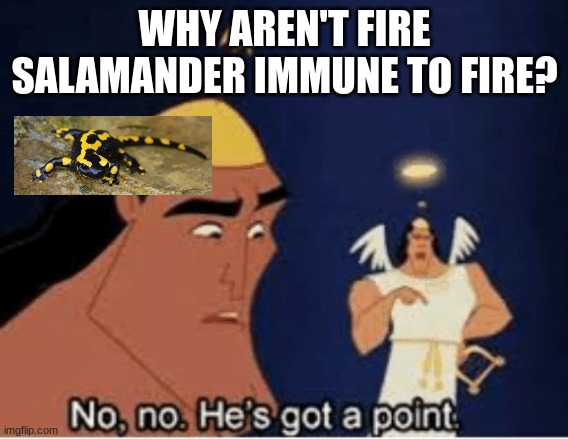 Fire Salamander |  WHY AREN'T FIRE SALAMANDER IMMUNE TO FIRE? | image tagged in no no he's got a point | made w/ Imgflip meme maker