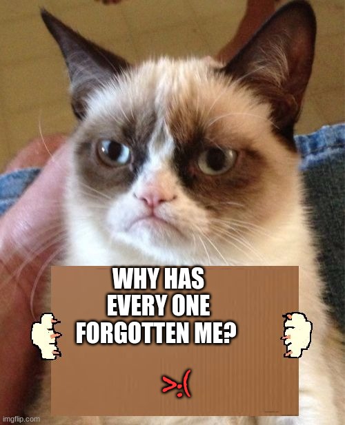 Grumpy Cat Cardboard Sign | WHY HAS EVERY ONE FORGOTTEN ME? >:( | image tagged in grumpy cat cardboard sign | made w/ Imgflip meme maker