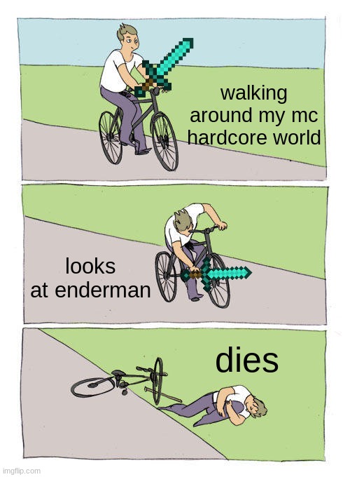 hardcore | walking around my mc hardcore world; looks at enderman; dies | image tagged in memes,bike fall | made w/ Imgflip meme maker