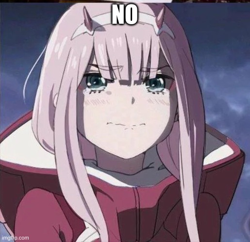 zero two crying | NO | image tagged in zero two crying | made w/ Imgflip meme maker