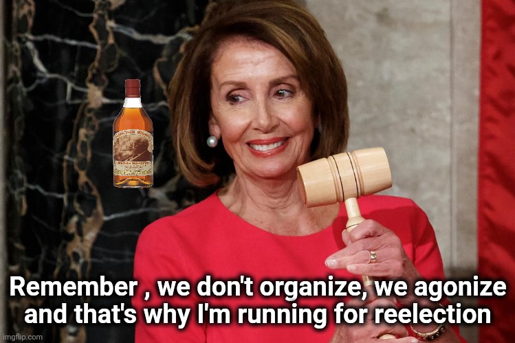 Is it "Backwards" day ? | Remember , we don't organize, we agonize and that's why I'm running for reelection | image tagged in nancy pelosi proud political snake,vote for pedro,best better blurst,politicians suck,arrogance | made w/ Imgflip meme maker