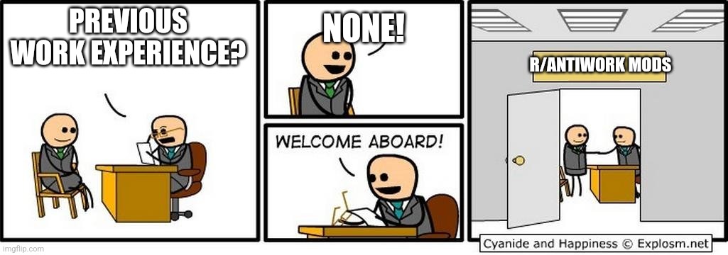 you're hired | NONE! PREVIOUS WORK EXPERIENCE? R/ANTIWORK MODS | image tagged in you're hired | made w/ Imgflip meme maker