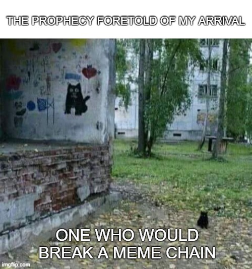 THE PROPHECY FORETOLD OF MY ARRIVAL ONE WHO WOULD BREAK A MEME CHAIN | image tagged in black prophecy cat | made w/ Imgflip meme maker