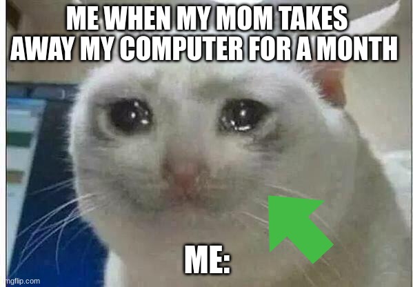 The Computer Sadness | ME WHEN MY MOM TAKES AWAY MY COMPUTER FOR A MONTH; ME: | image tagged in crying cat,computer | made w/ Imgflip meme maker
