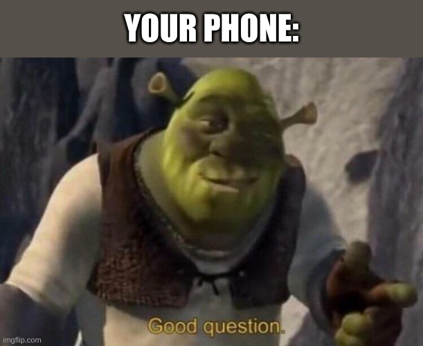 Shrek good question | YOUR PHONE: | image tagged in shrek good question | made w/ Imgflip meme maker