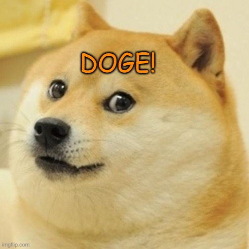 DOGE | DOGE! | image tagged in memes,doge | made w/ Imgflip meme maker