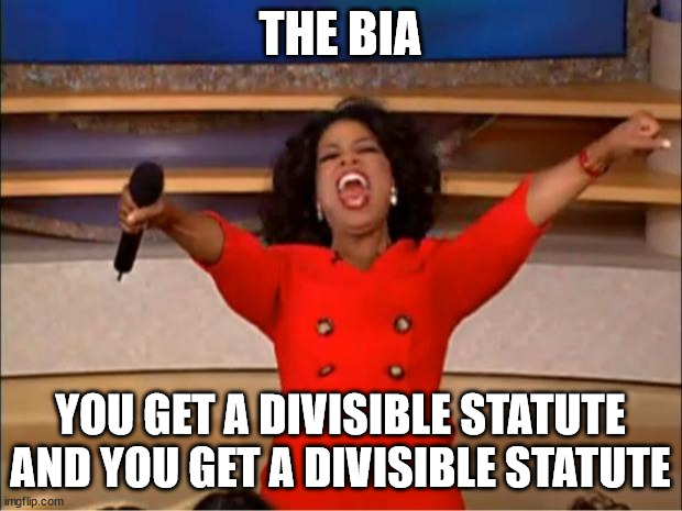 Oprah You Get A Meme | THE BIA; YOU GET A DIVISIBLE STATUTE AND YOU GET A DIVISIBLE STATUTE | image tagged in memes,oprah you get a | made w/ Imgflip meme maker