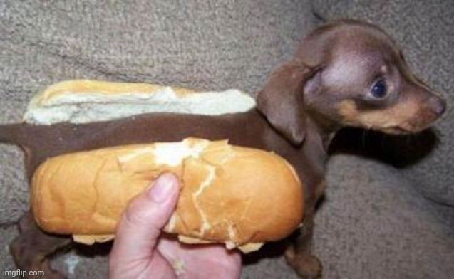 asian hot dog | image tagged in asian hot dog | made w/ Imgflip meme maker