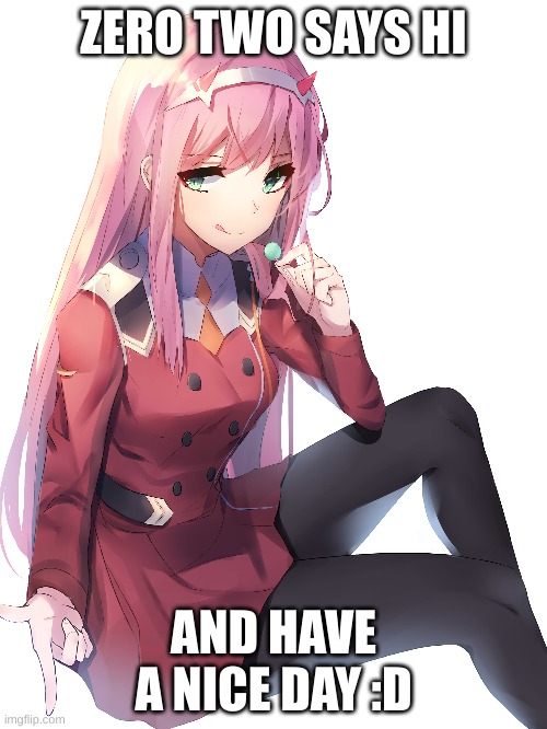 hi :D | ZERO TWO SAYS HI; AND HAVE A NICE DAY :D | image tagged in zero two,ditf,darling in the franxx,anime,002 | made w/ Imgflip meme maker
