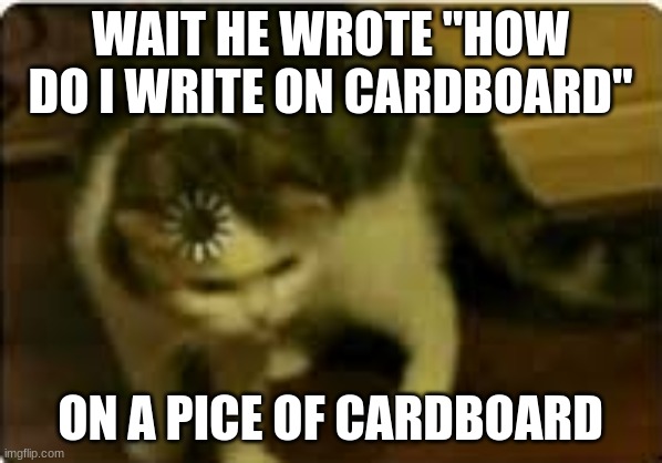 Buffering cat | WAIT HE WROTE "HOW DO I WRITE ON CARDBOARD" ON A PICE OF CARDBOARD | image tagged in buffering cat | made w/ Imgflip meme maker