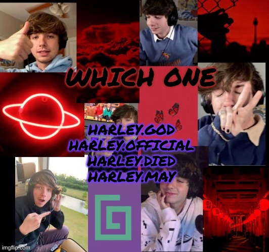 karl temp bc why not | WHICH ONE; HARLEY.GOD
HARLEY.OFFICIAL
HARLEY.DIED
HARLEY.MAY | image tagged in karl temp bc why not | made w/ Imgflip meme maker