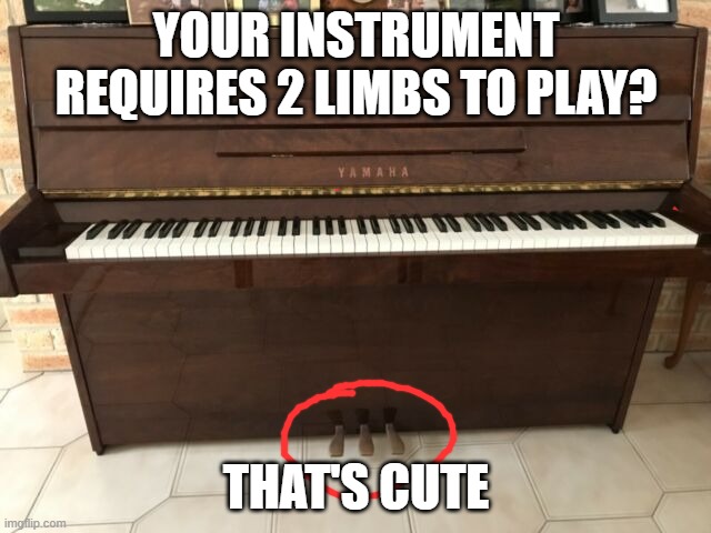 That's cute | YOUR INSTRUMENT REQUIRES 2 LIMBS TO PLAY? THAT'S CUTE | image tagged in piano,pop music | made w/ Imgflip meme maker