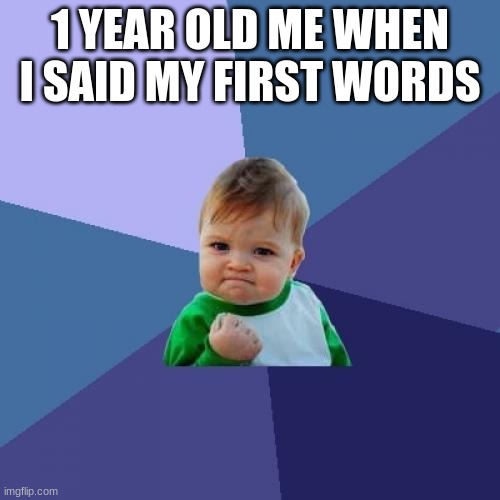 cool kid | 1 YEAR OLD ME WHEN I SAID MY FIRST WORDS | image tagged in memes,success kid | made w/ Imgflip meme maker