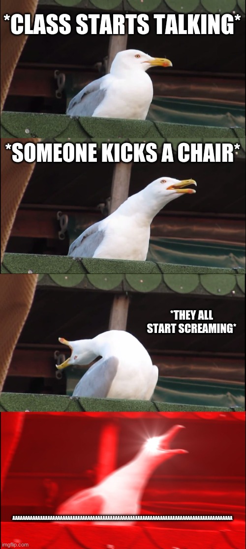 AAAAAAAA AAAAAAAAAAAAAAAAAAAAAA AAAAAAAAAAAAAAAAAA  AAAAAAAAAAAAAAAAAAAAAAAAAAAAAAAAAAAAAAAAAAAAAAAAAAAAAAAAAAAAAAAAa | *CLASS STARTS TALKING*; *SOMEONE KICKS A CHAIR*; *THEY ALL START SCREAMING*; AAAAAAAAAAAAAAAAAAAAAAAAAAAAAAAAAAAAAAAAAAAAAAAAAAAAAAAAAAAAAAAAAAAAAAAAAAAAAAAAAAAAAAAA | image tagged in memes,inhaling seagull | made w/ Imgflip meme maker