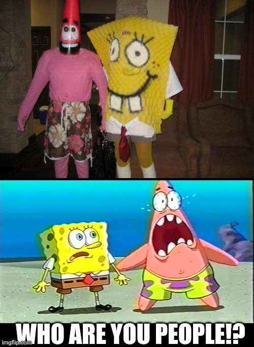 THE IMPORTANT THING IS THAT THEY TRIED | WHO ARE YOU PEOPLE!? | image tagged in patrick and spongebob scared,spongebob,cosplay,cosplay fail | made w/ Imgflip meme maker