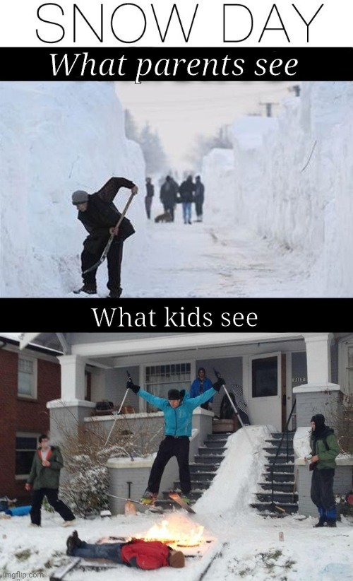 Snow day | image tagged in yes | made w/ Imgflip meme maker