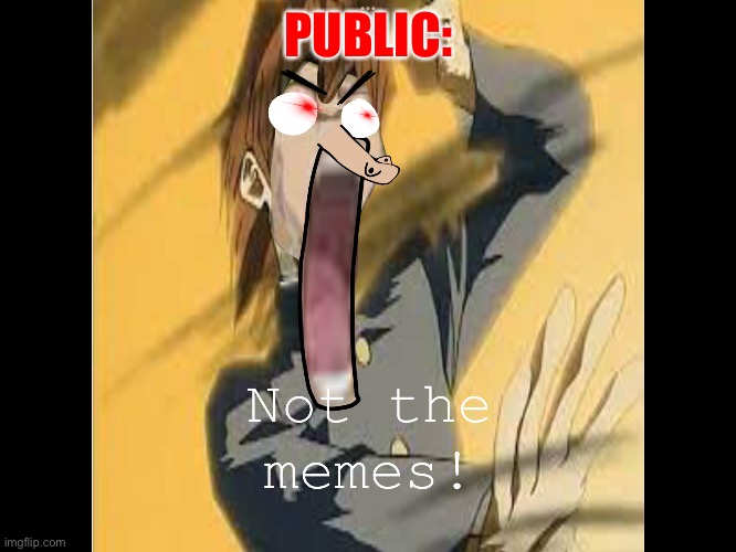 Not the memes! | PUBLIC: | image tagged in memes | made w/ Imgflip meme maker