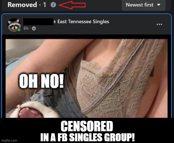 CENSORED IN A FB SINGLES GROUP! | made w/ Imgflip meme maker