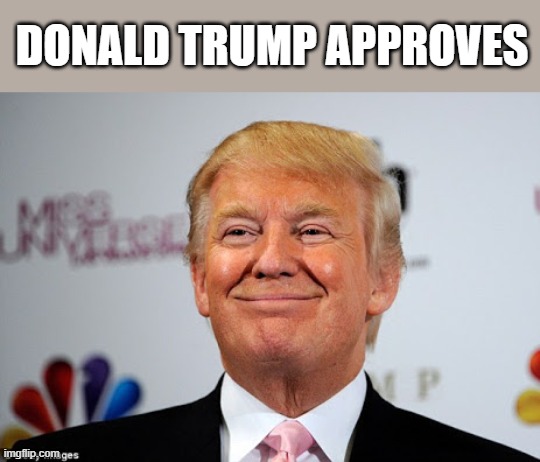 Donald trump approves | DONALD TRUMP APPROVES | image tagged in donald trump approves | made w/ Imgflip meme maker