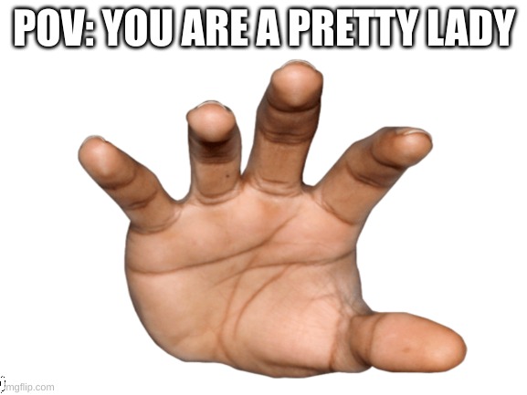 POV: YOU ARE A PRETTY LADY | image tagged in friday night funkin | made w/ Imgflip meme maker