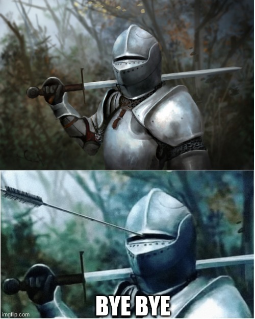 Knight with arrow in helmet | BYE BYE | image tagged in knight with arrow in helmet | made w/ Imgflip meme maker