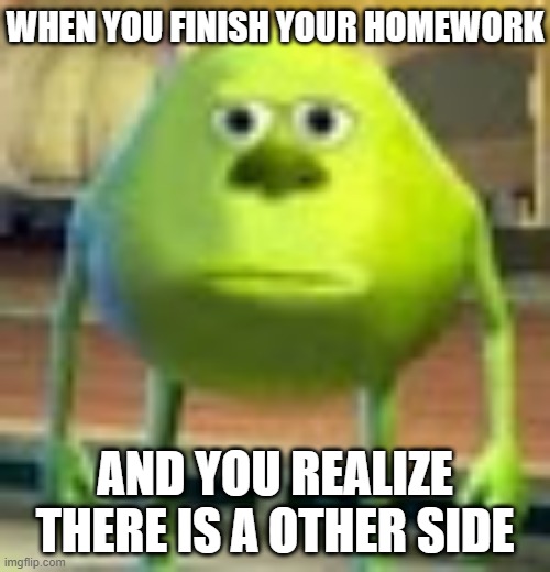 bru | WHEN YOU FINISH YOUR HOMEWORK; AND YOU REALIZE THERE IS A OTHER SIDE | image tagged in sully wazowski | made w/ Imgflip meme maker
