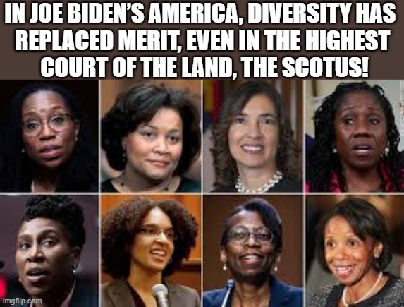 Biden's SCOTUS diversity list | IN JOE BIDEN’S AMERICA, DIVERSITY HAS 
REPLACED MERIT, EVEN IN THE HIGHEST
 COURT OF THE LAND, THE SCOTUS! | image tagged in biden's scotus diversity list,political meme,joe biden,scotus,america,diversity | made w/ Imgflip meme maker