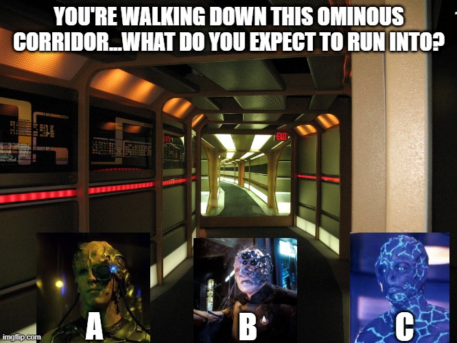 Spooky Trek |  YOU'RE WALKING DOWN THIS OMINOUS CORRIDOR...WHAT DO YOU EXPECT TO RUN INTO? A; B; C | image tagged in forboding star trek hallway | made w/ Imgflip meme maker