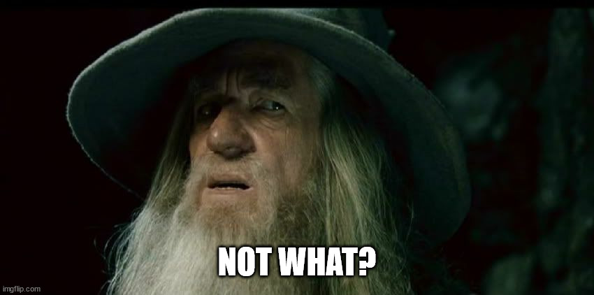 Confused Gandalf | NOT WHAT? | image tagged in confused gandalf | made w/ Imgflip meme maker