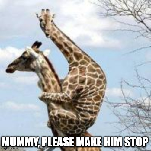 scared giraffe | MUMMY, PLEASE MAKE HIM STOP | image tagged in scared giraffe | made w/ Imgflip meme maker